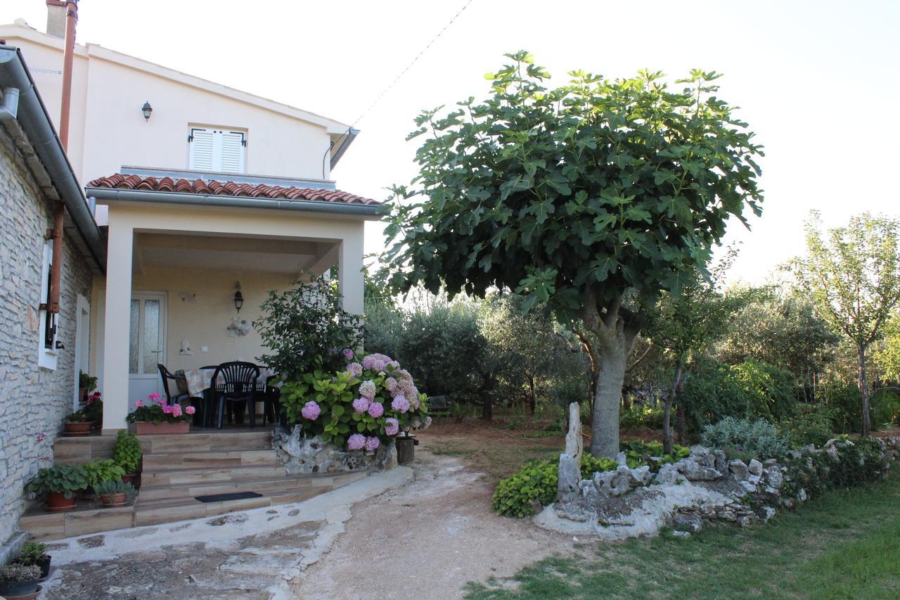 Haus Glavani Barban Bagian luar foto